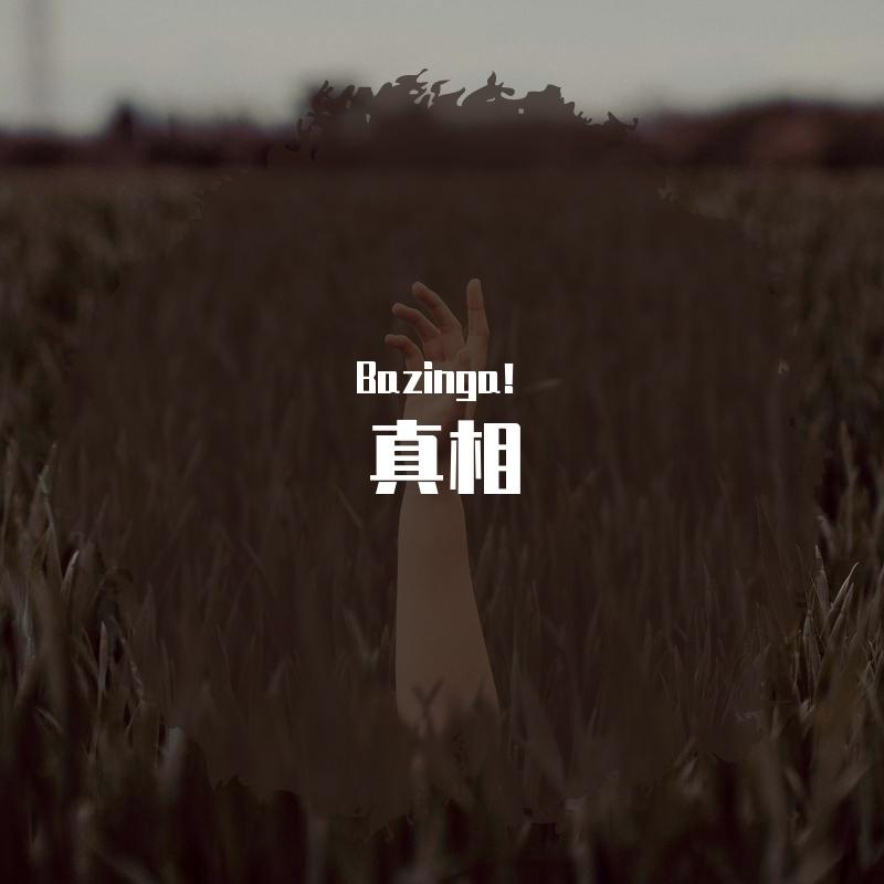真相封面