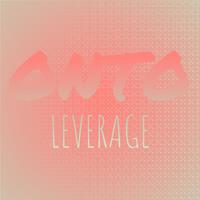 Onto Leverage