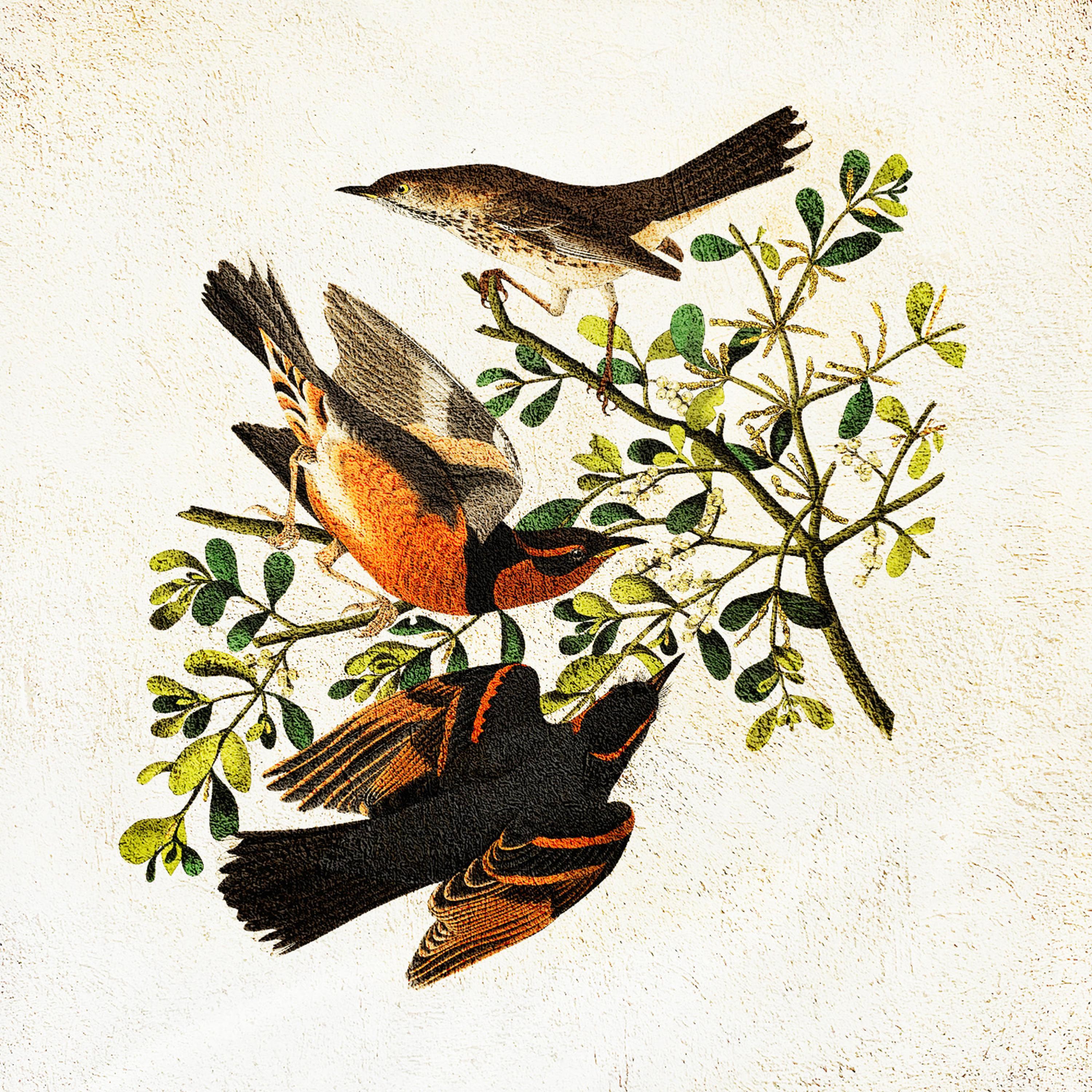 song-img