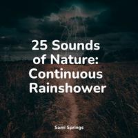 25 Sounds of Nature: Continuous Rainshower