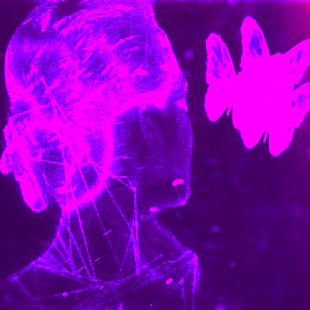 少年维特的烦恼LEIDEN封面