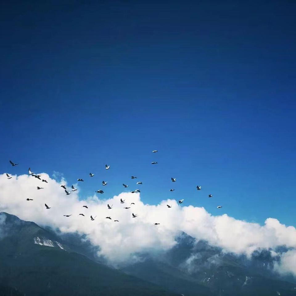 别有念想封面