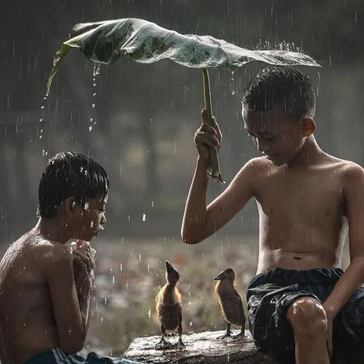 转身之后封面