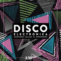 Disco Electronica, Vol. 24