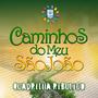 Caminhos do Meu São João (Cover)