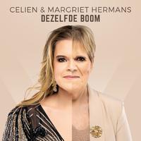 Dezelfde Boom