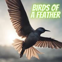 Birds of a Feather (Country)