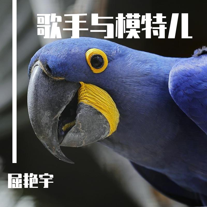歌手与模特儿封面