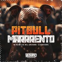 Pitbull Marrento