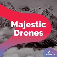 Majestic Drones