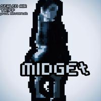 Midget (feat. havok16k)