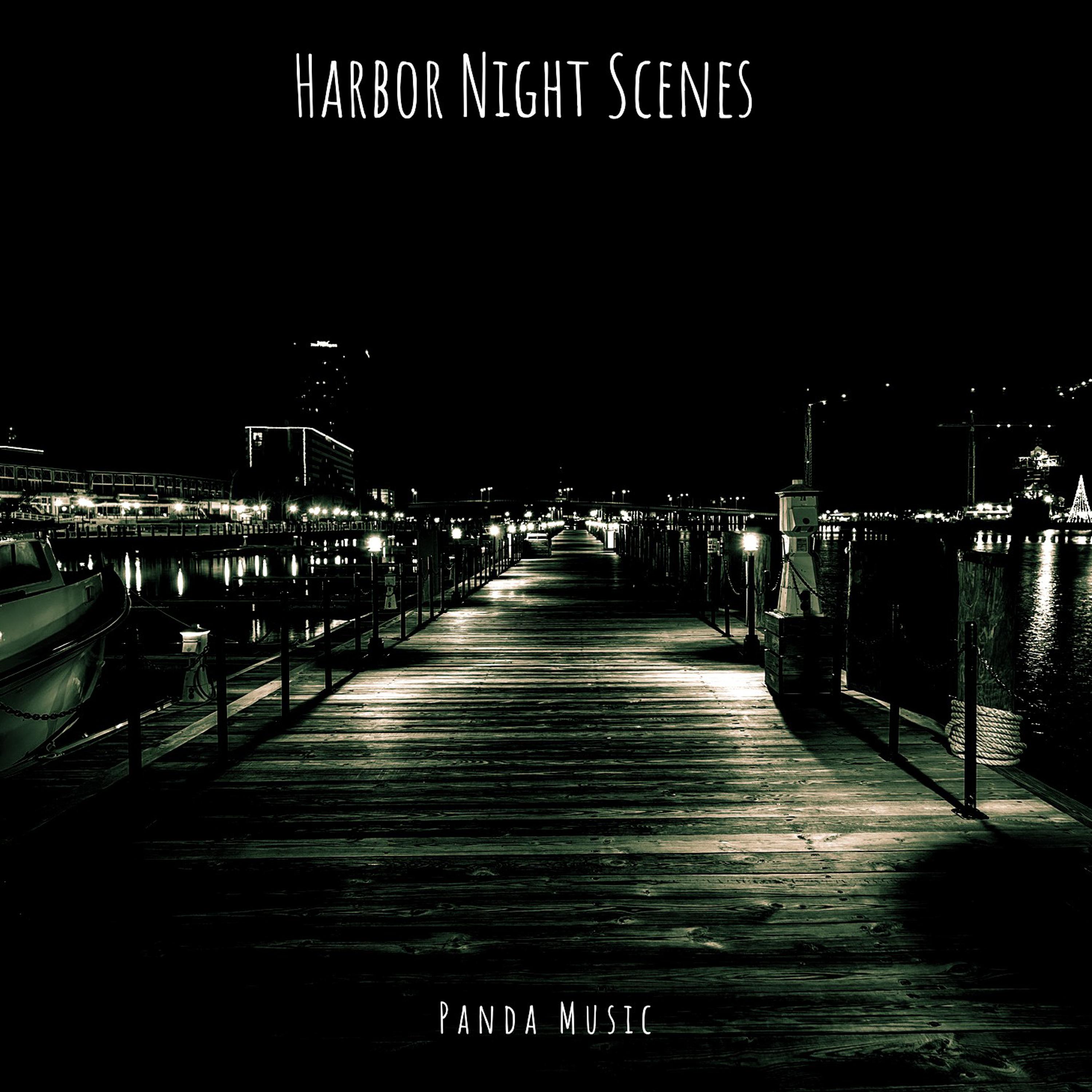 Harbor Night Scenes