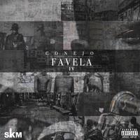 Favela 4