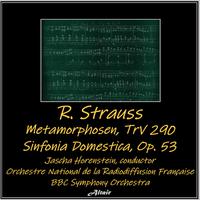 R. Strauss: Metamorphosen, TrV 290 - Sinfonia Domestica, OP. 53 (Live)