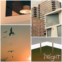 Insight