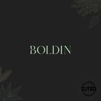 BOLDIN