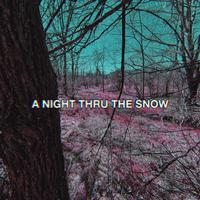 A NIGHT THRU THE SNOW