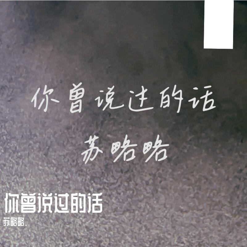 你曾说过的话封面