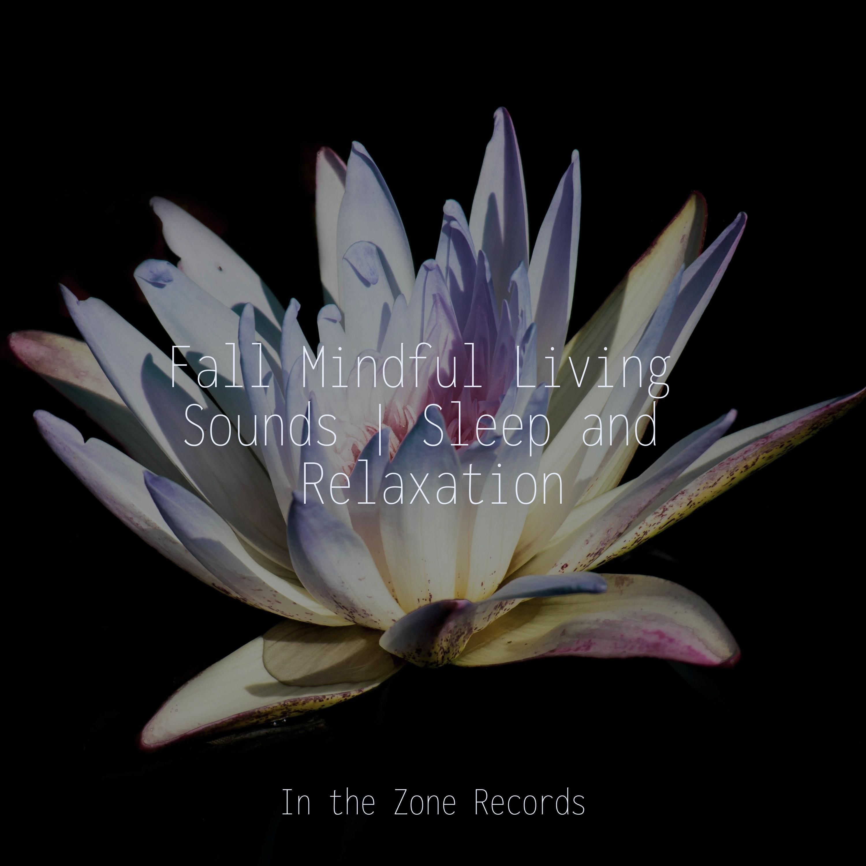 Sunset Radiance_Meditation Awareness_Fall Mindful Living Sounds | Sleep and Relaxation | 在线播放_Sunset Radiance歌词_Sunset Radiance下载 | 网易云音乐