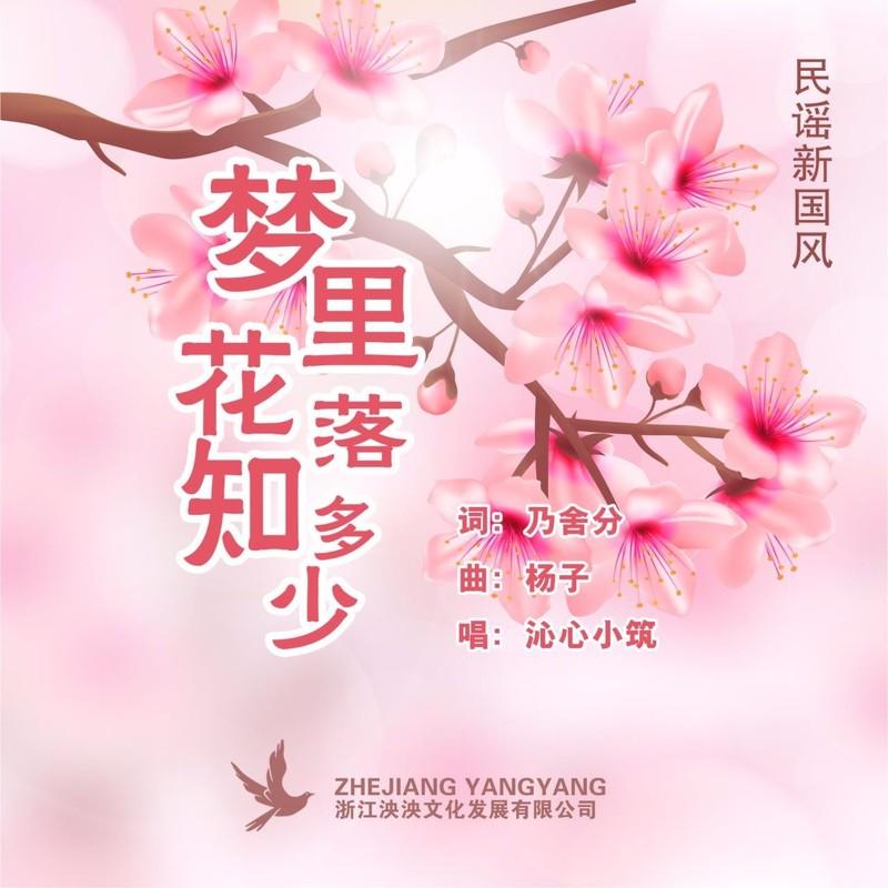 梦里花落知多少-女声 (伴奏)封面