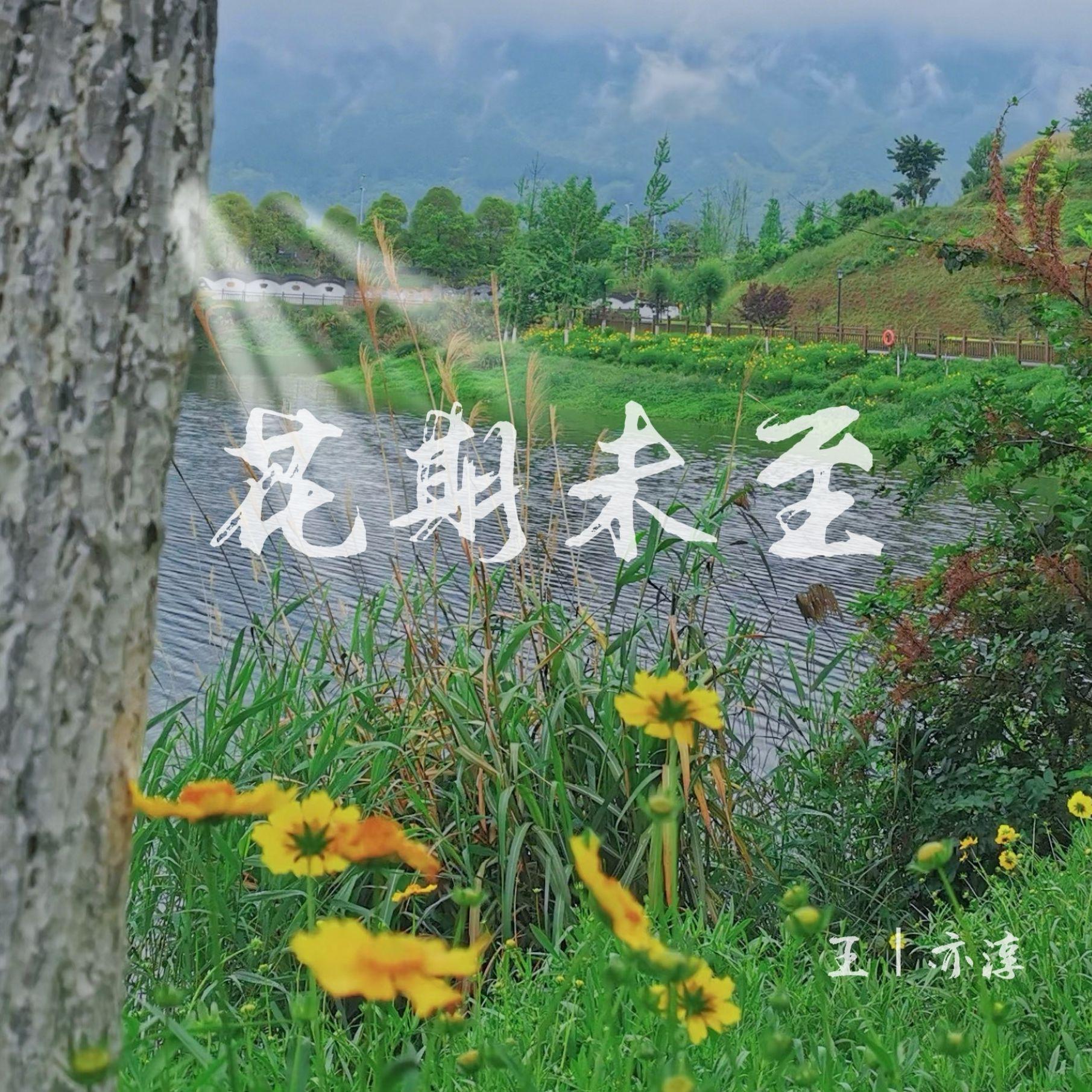 花期未至 【Boombap Type Beat】封面