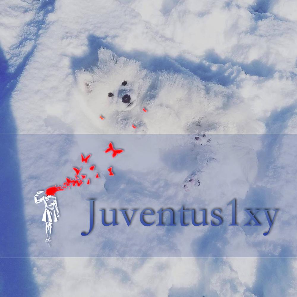 01. Juventus1xy封面