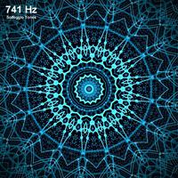 741 Hz Solfeggio Healing Frequencies - Full Body Detox