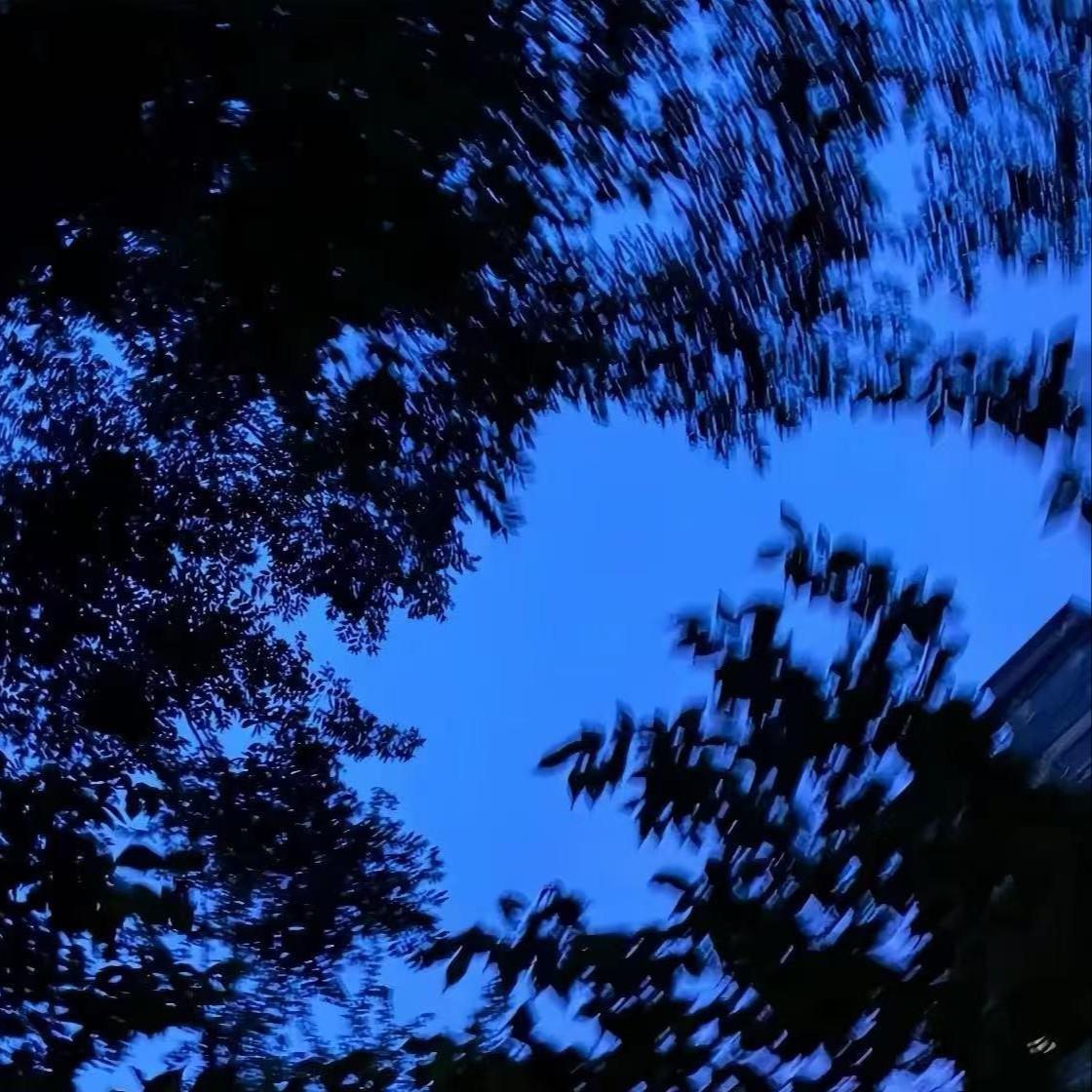 幻听（neo soul）封面