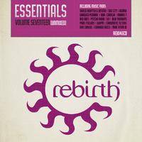 Rebirth Essentials Volume 7teen