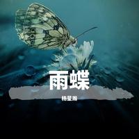 雨蝶