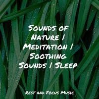 Sounds of Nature | Meditation | Soothing Sounds | Sleep