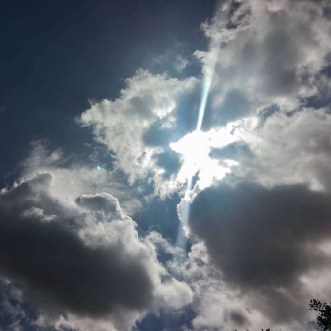 刘若英-刘若英-为爱痴狂Remix（李迦南Doc.晨仔不说唱）（晨仔不说唱 remix）