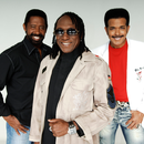 Commodores