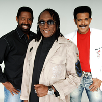 Commodores