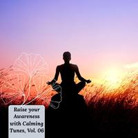 Raise Your Awareness With Calming Tunes, Vol. 06