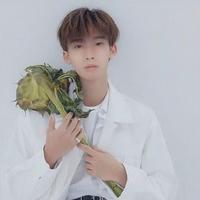 张天宇