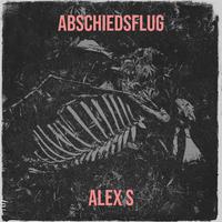 Abschiedsflug