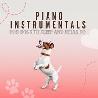 Piano Instrumentals for Dogs to Sleep and Relax to