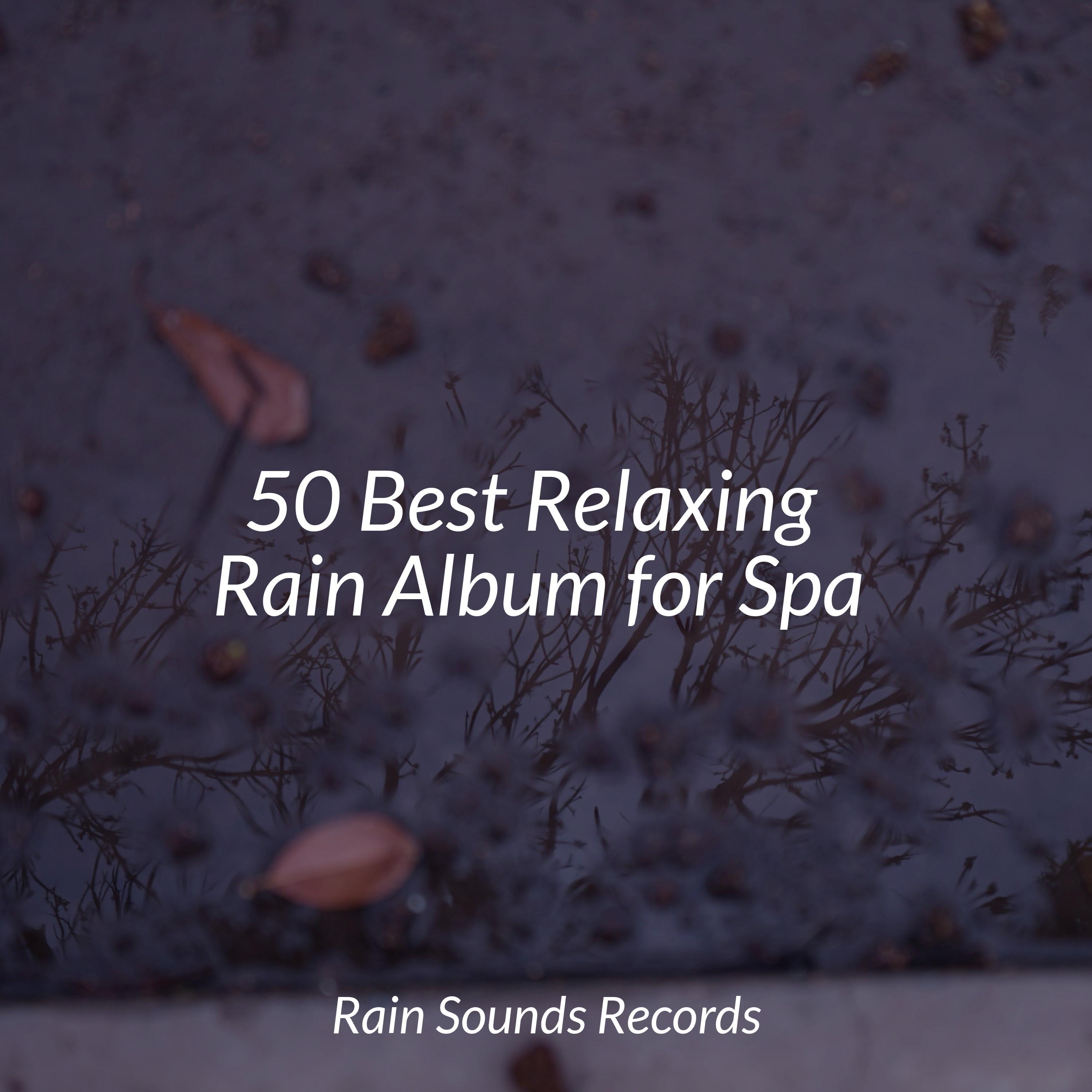 50 Best Relaxing Rain Album for Spa - Rising Higher Meditation - 专辑 - 网易云音乐