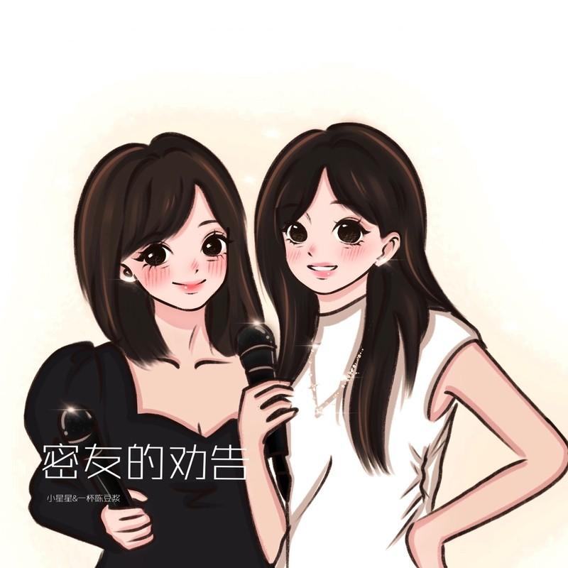 密友的劝告封面