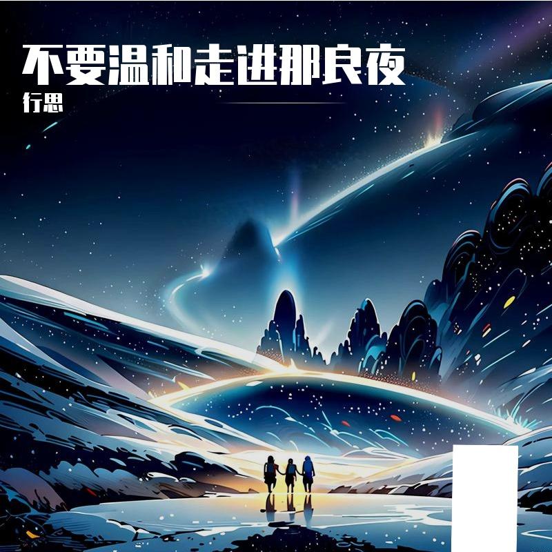 不要温和走进那良夜封面