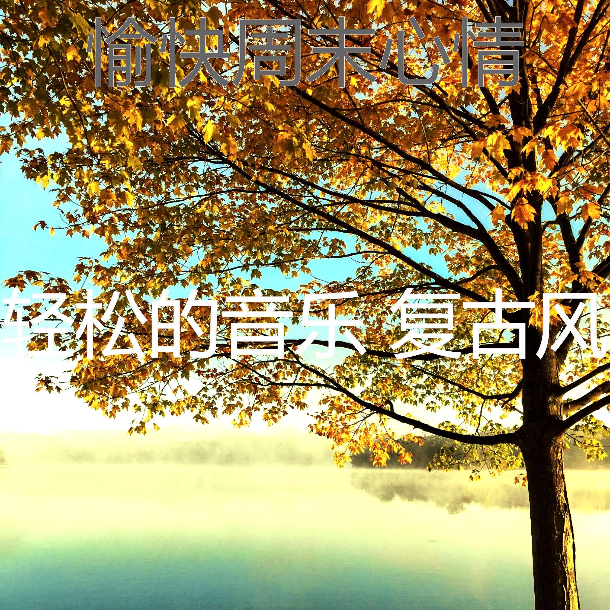 抚慰的养生回忆封面
