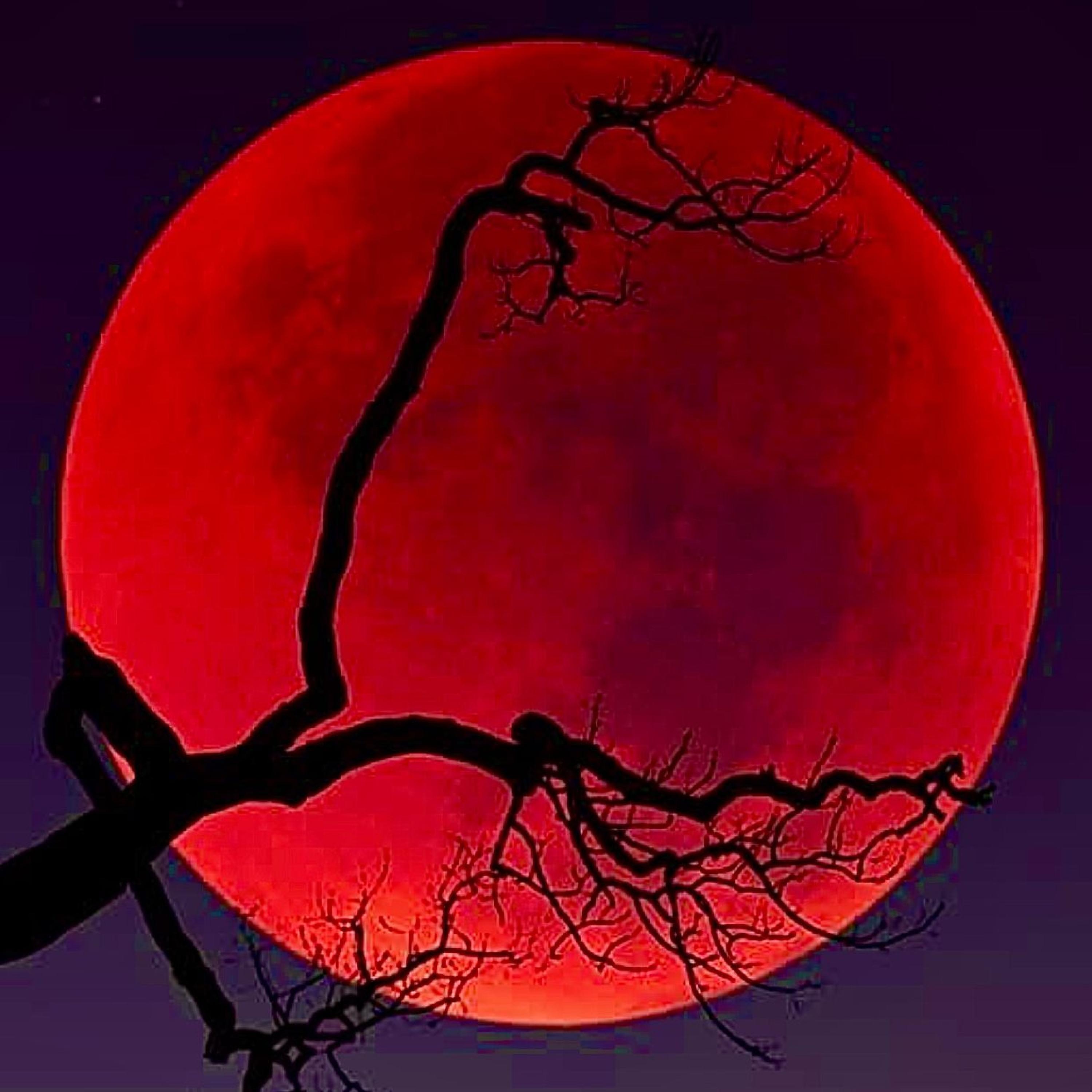 *****, I'm Lil Sasuke!