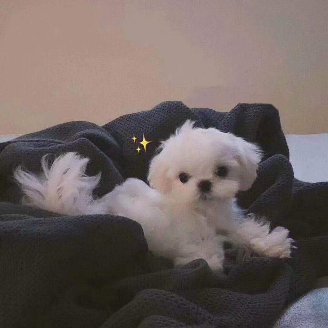 Phut Hon(Kaiz Remix)