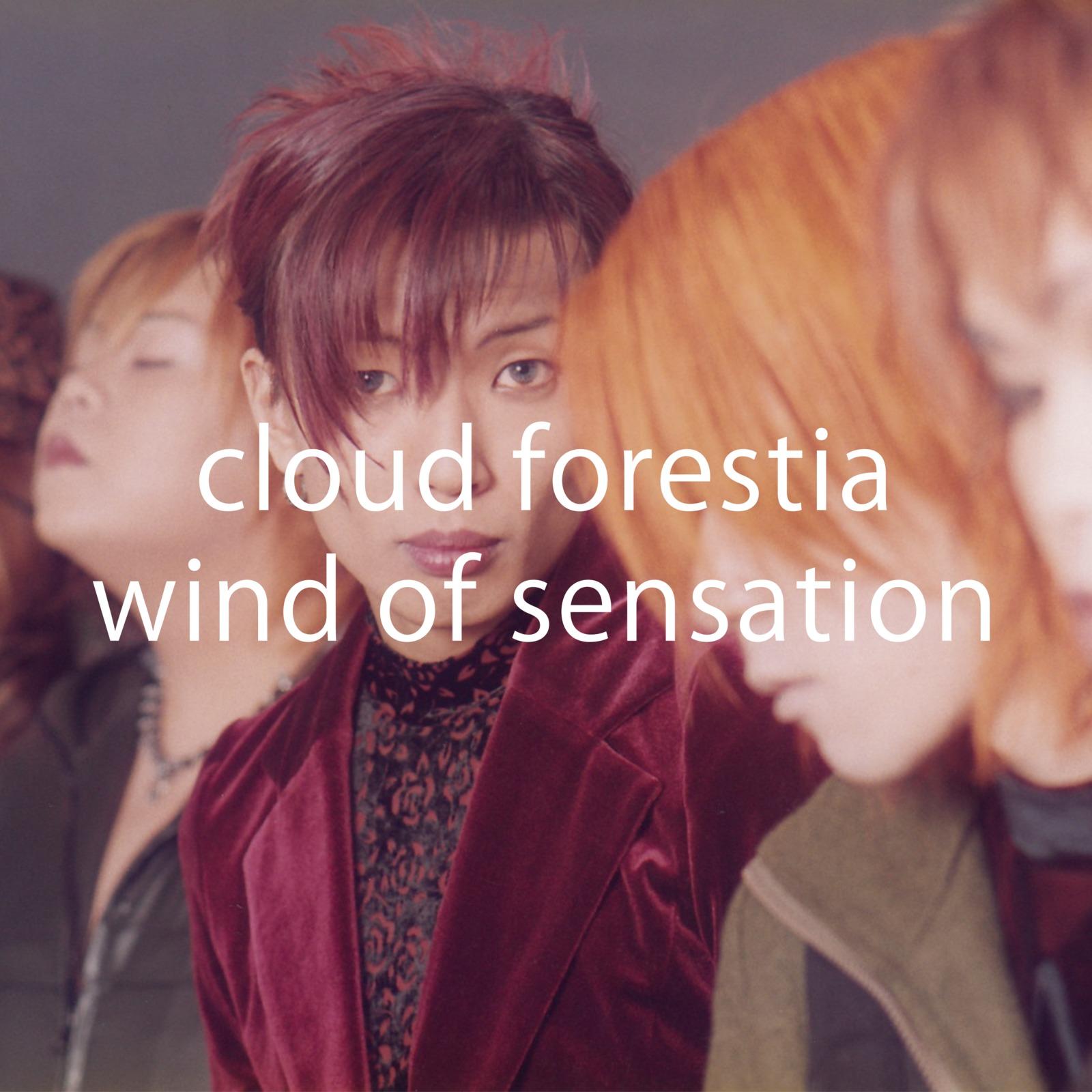 wind of sensation