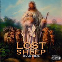 Lost Sheep