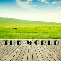 The World