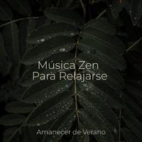 Música Zen Para Relajarse