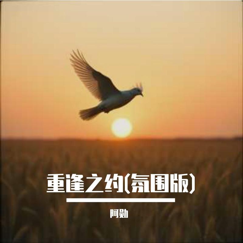 重逢之约(氛围版)封面