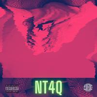 No Time 4 Questions: NT4Q Reloaded